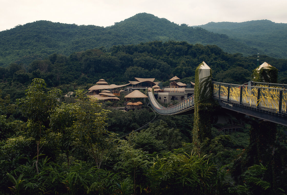 Янода - Лилия . Янода - Лилия .