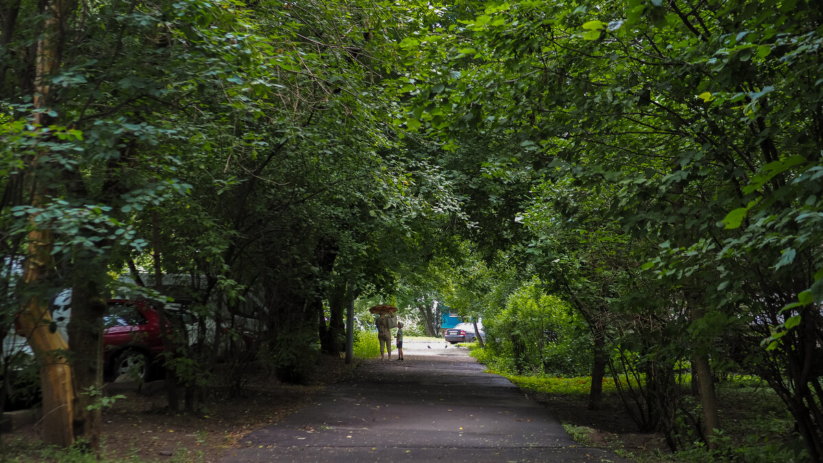 ***** - юрий поляков