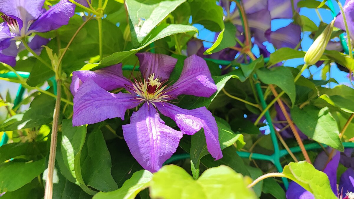 ,,, - Сергей Тимоновский