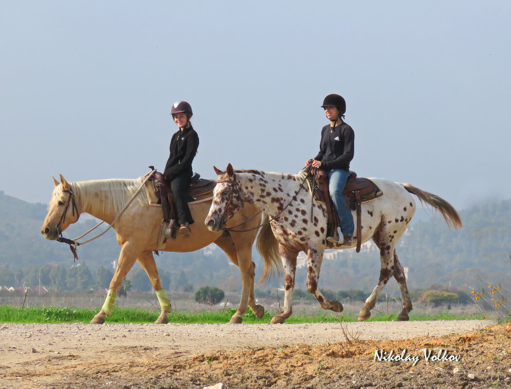 Конные прогулки.А конь то в яблоках)) - Николай Волков