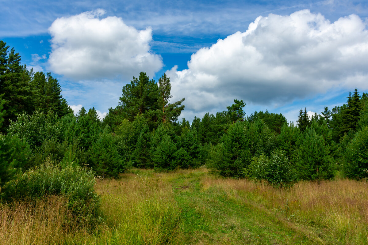 Пейзаж - Владимир VS
