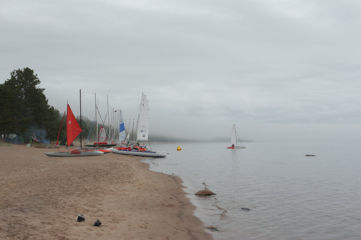 Туман и мачты - Максим Егоров