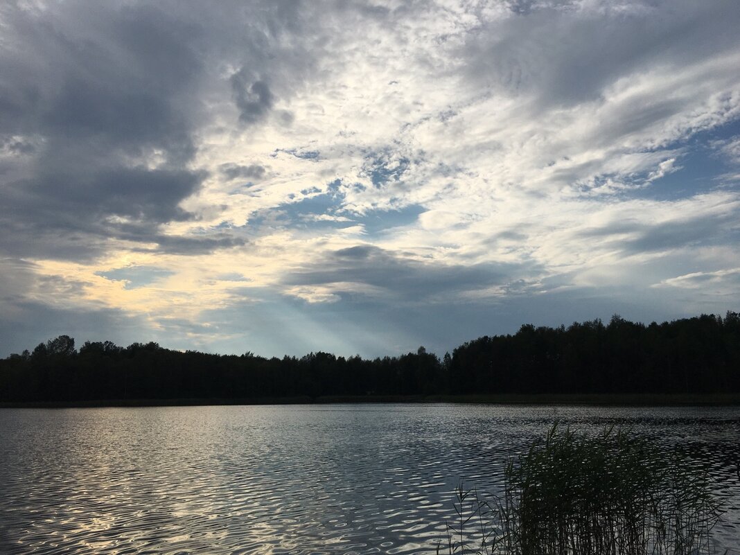 Вечером на озере... - Владимир Павлов