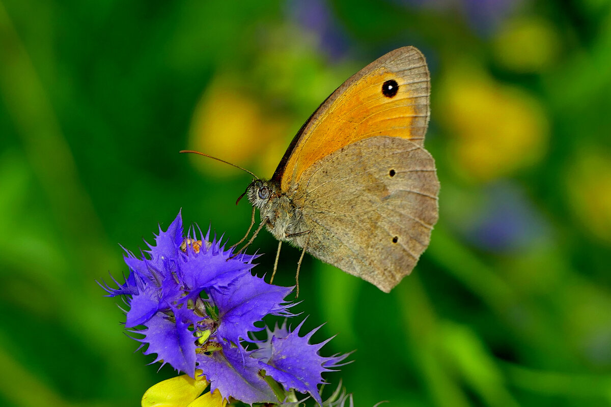 из сегодняшней съемки 4 - Александр Прокудин из сегодняшней съемки 4 - Александр Прокудин