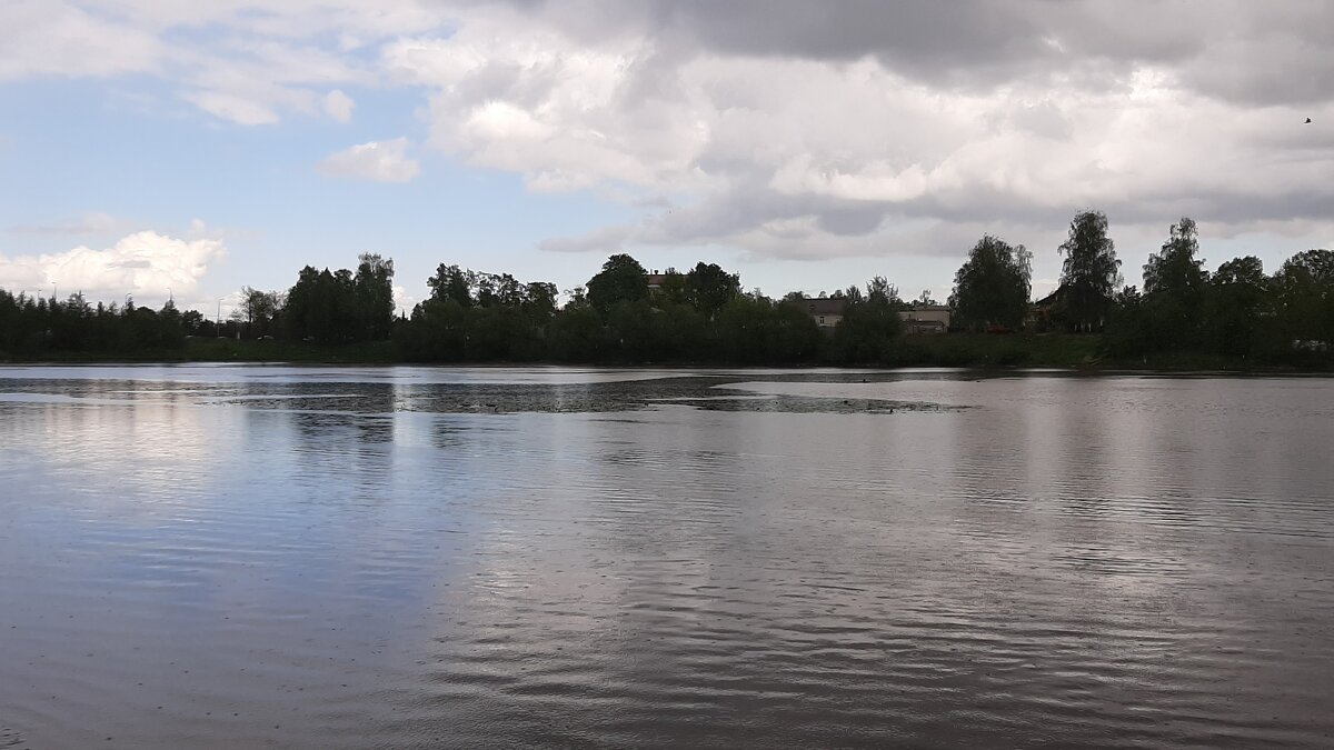 Стрельна. Орловский пруд - Наталья Герасимова