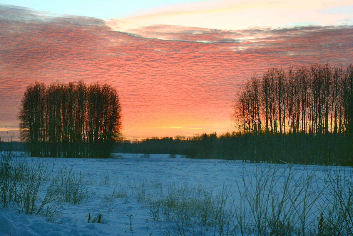 На землю тихо опустился вечер. - Михаил Белоусов