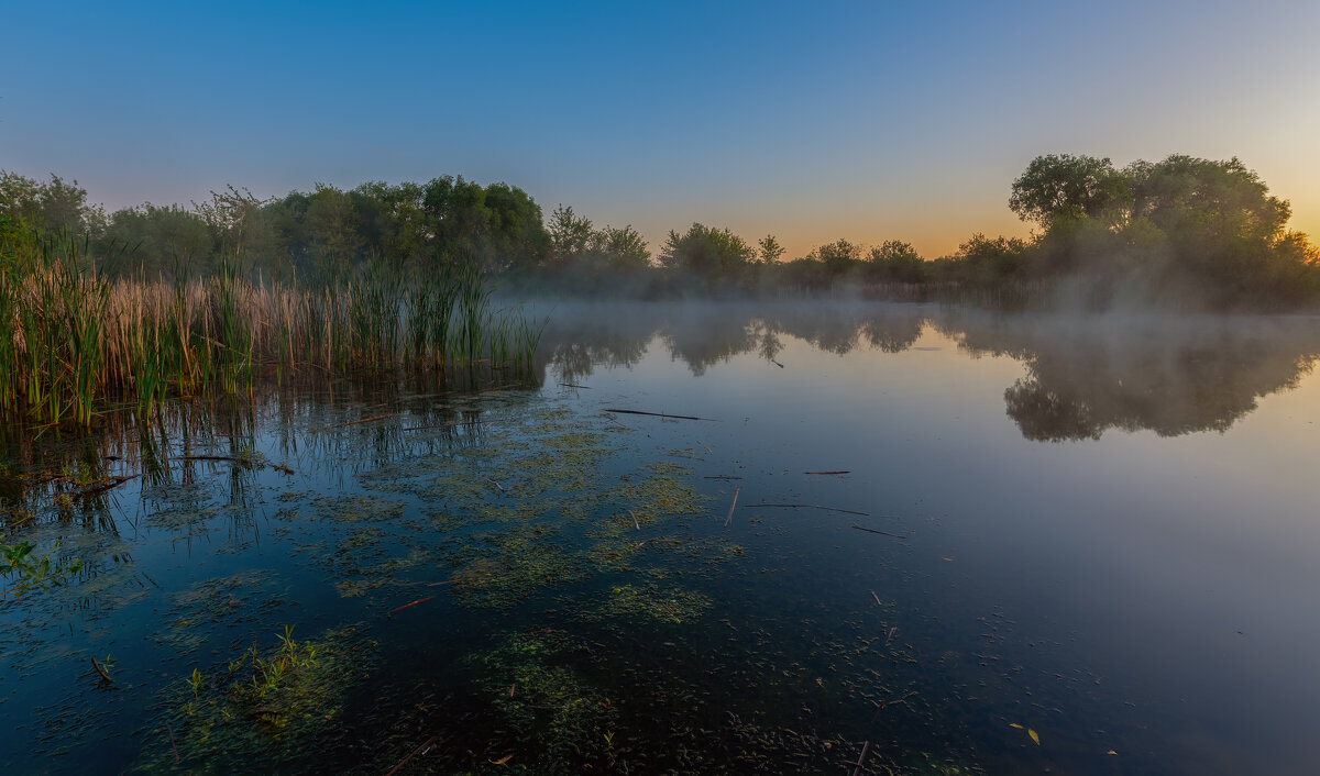 *** - Виталий Емельянов *** - Виталий Емельянов
