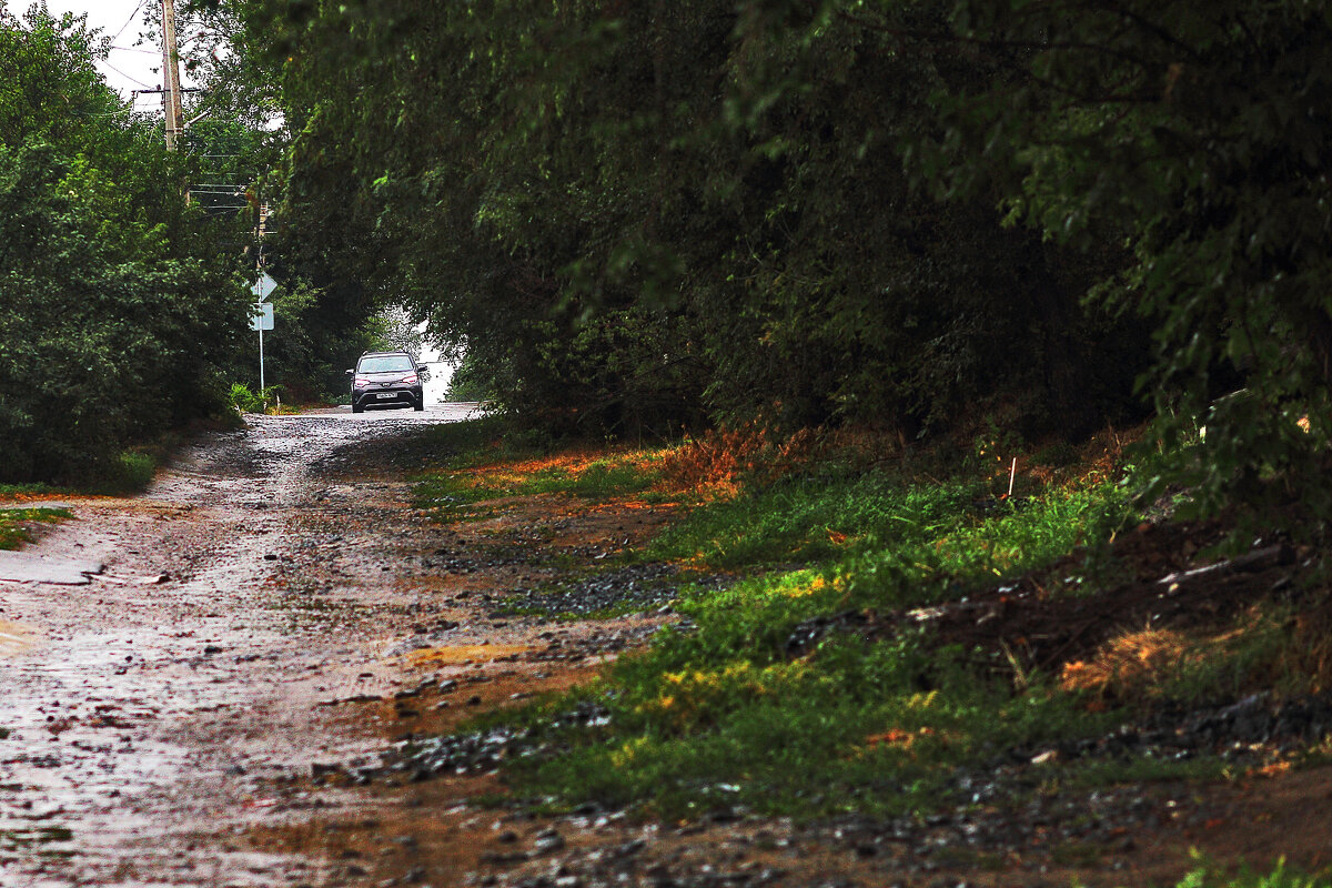 Дождик пошёл - Юрий Гайворонскiий