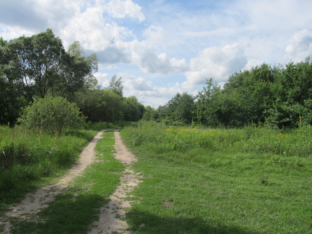 за городом - Елена Шаламова