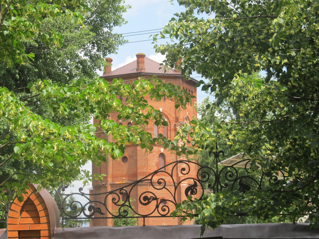 Рамонь водонапорная башня - Елена Шаламова