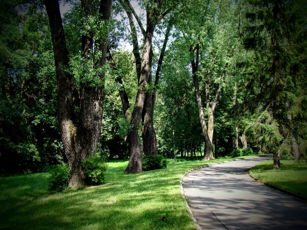 Траурная аллея в усадьбе Горки - Анатолий Колосов Траурная аллея в усадьбе Горки - Анатолий Колосов