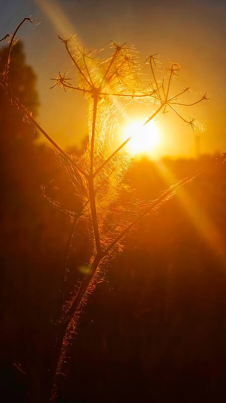 Закат - Оксана Н.