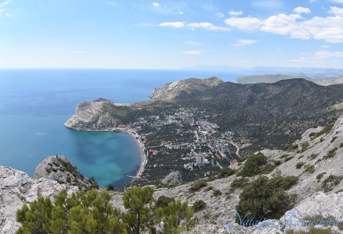 Природа Крыма - Amazing Cosmea