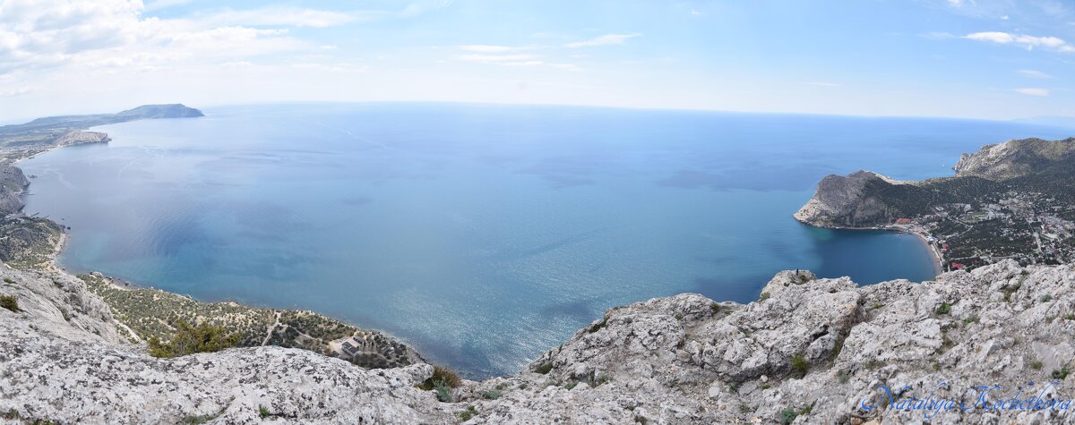 Природа Крыма - Amazing Cosmea