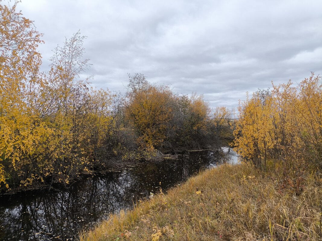 Осень - Anna Ivanova