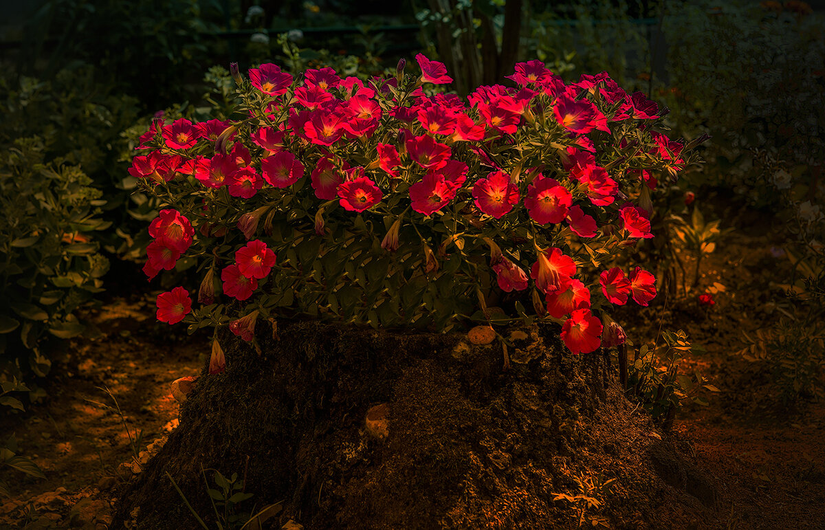 *** - Николай Феофанов