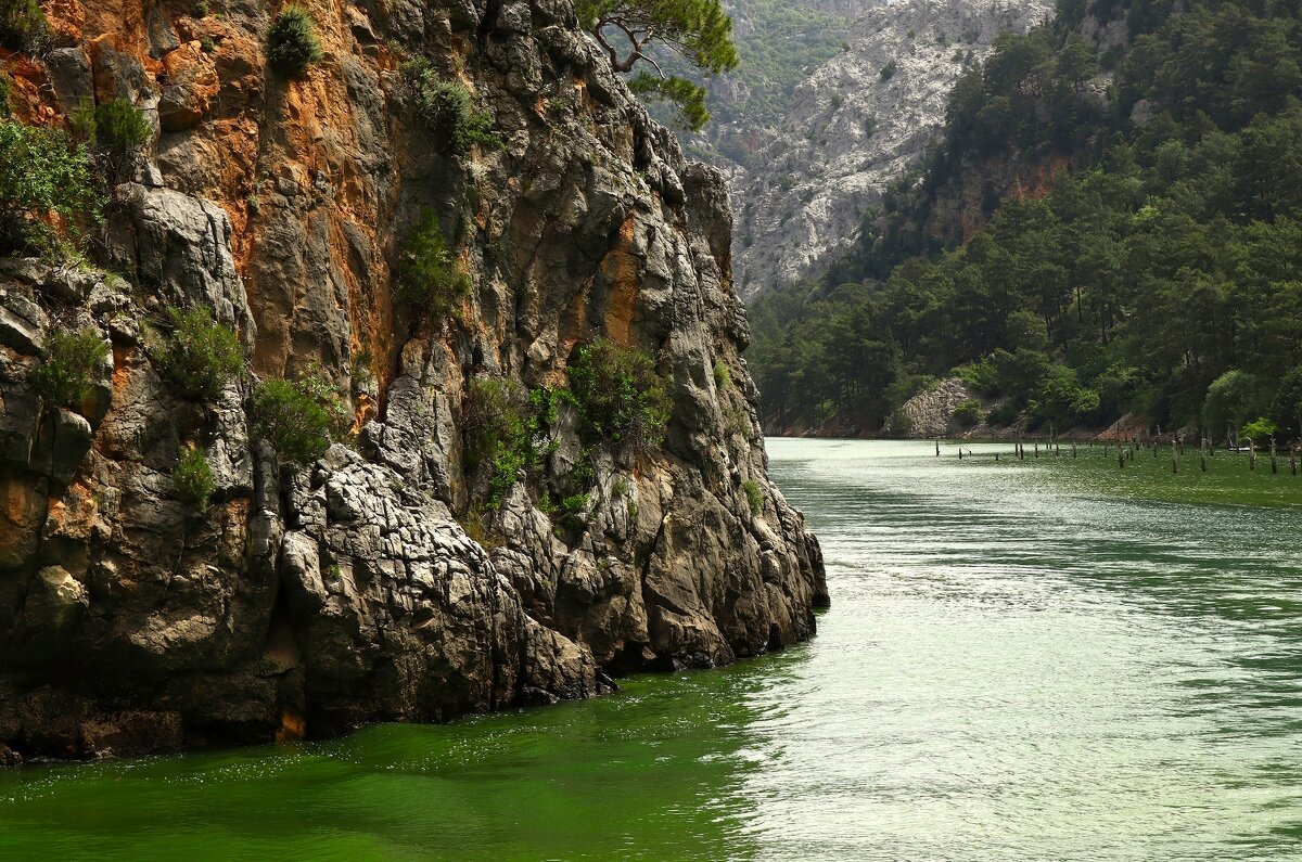 Течёт река - Юрий. Шмаков
