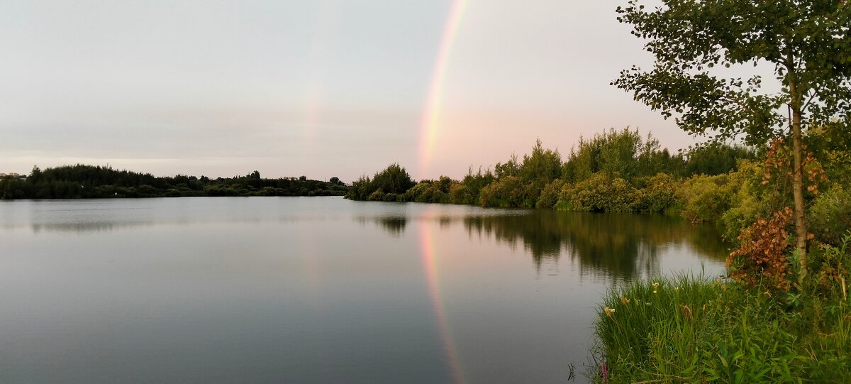 Сегодня рассвет с двойной радугой - Шу Юншен