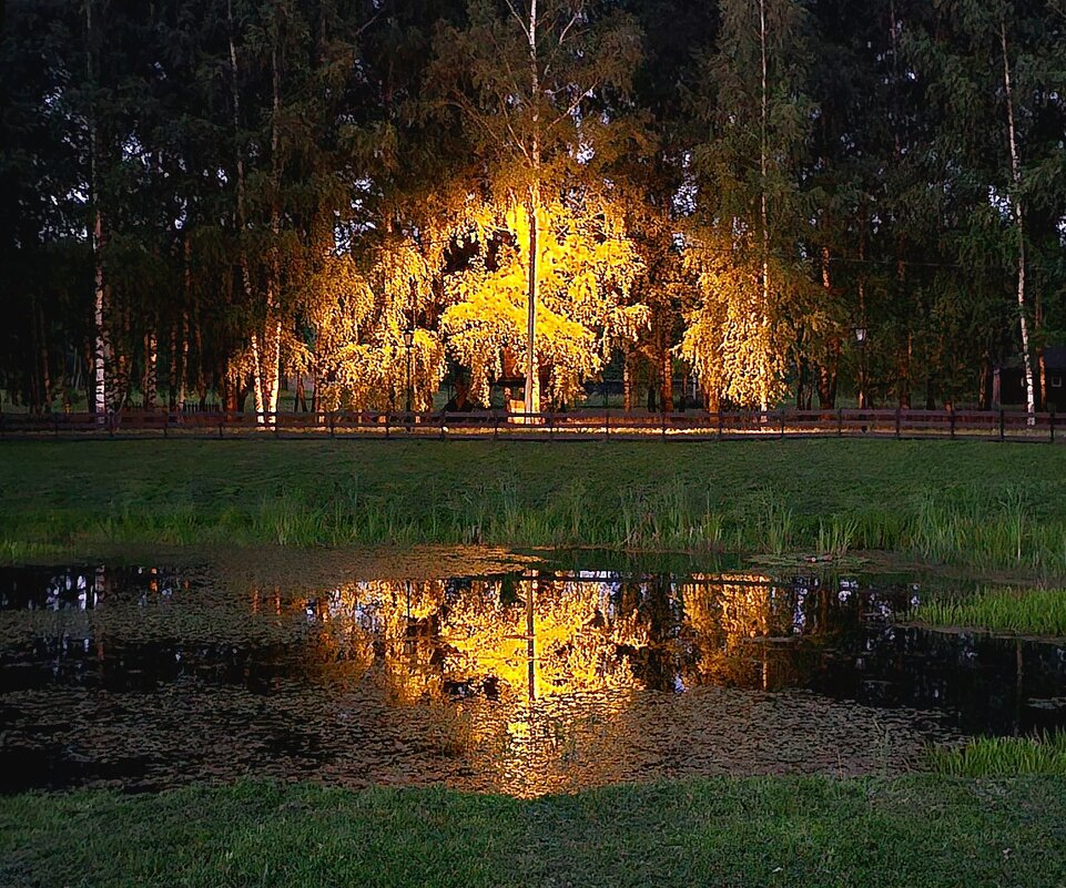 Фонарь окрасил в осенние краски - Михаил Свиденцов