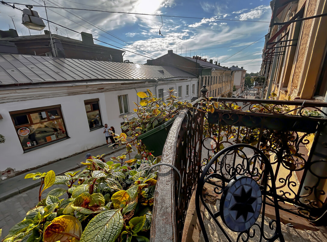 А из нашего окна - Дмитрий Иванов