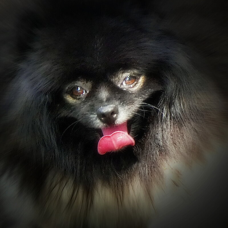 Жарко... - Владимир Шошин