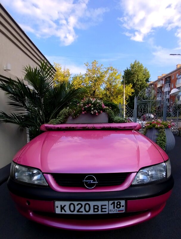 Прикольный столик в ресторане - светлана льдокова