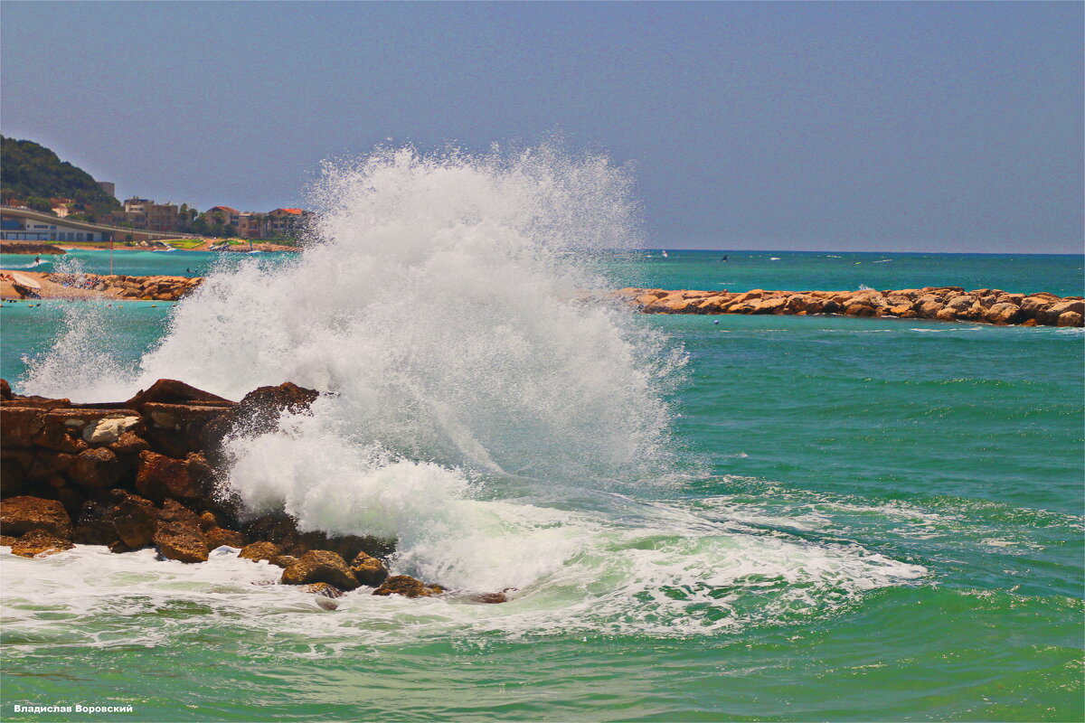 Хайфа 2025 - Владислав Воровский 