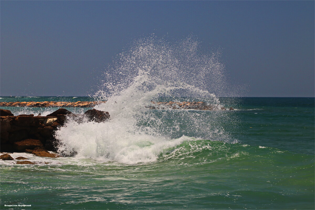 Хайфа 2025 - Владислав Воровский 