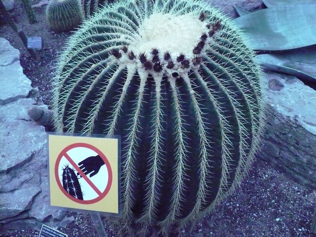 ЯДОВИТЫЙ ! - Валерий Кокорев