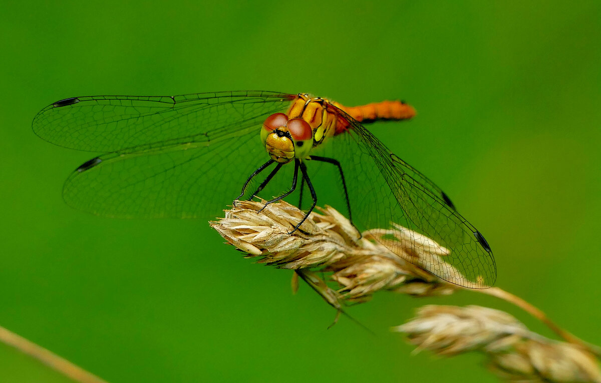 из сегодняшней съемки 9 - Александр Прокудин