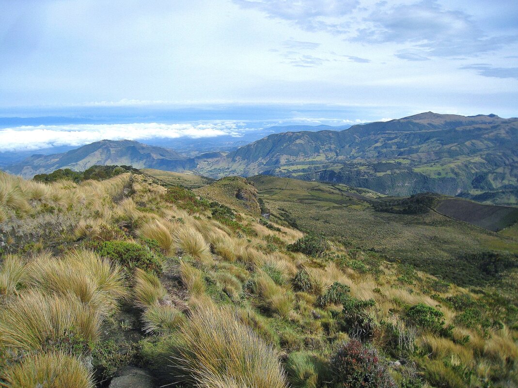 Кусочек Колумбии. - unix (Илья Утропов)