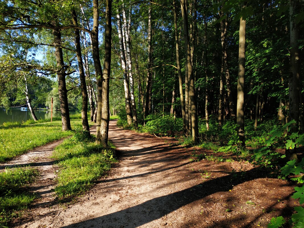 Потому, что лето - Андрей Лукьянов Потому, что лето - Андрей Лукьянов