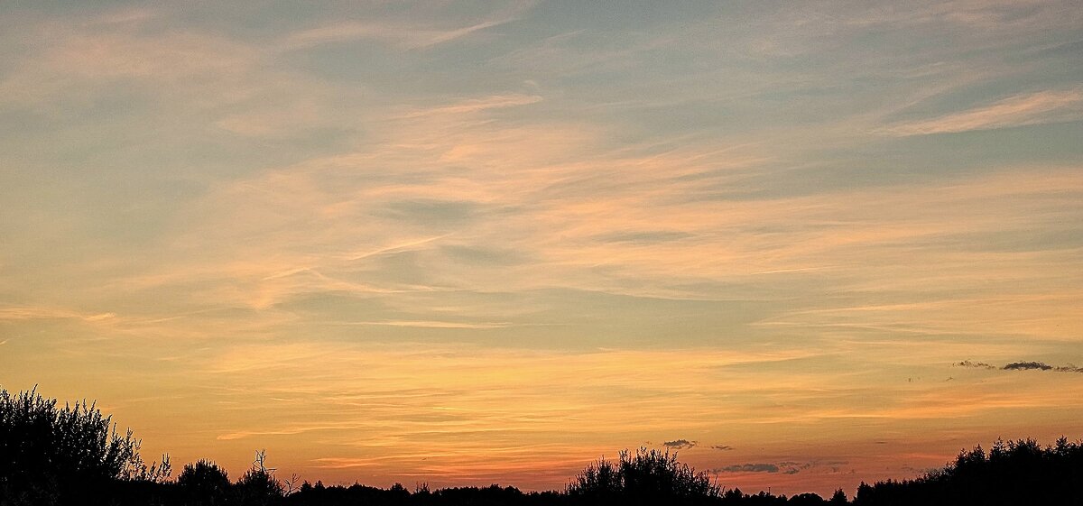 Закат - Михаил Свиденцов