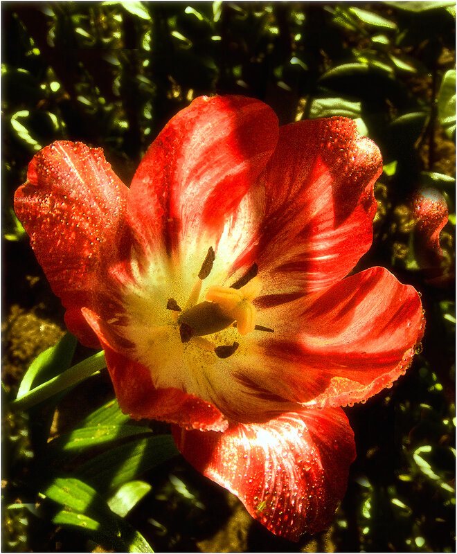 Майское утро - Валентин Котляров