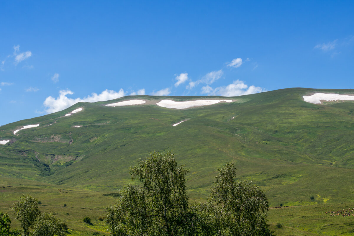 Лаго-Наки июль 2024 - Игорь Сикорский Лаго-Наки июль 2024 - Игорь Сикорский