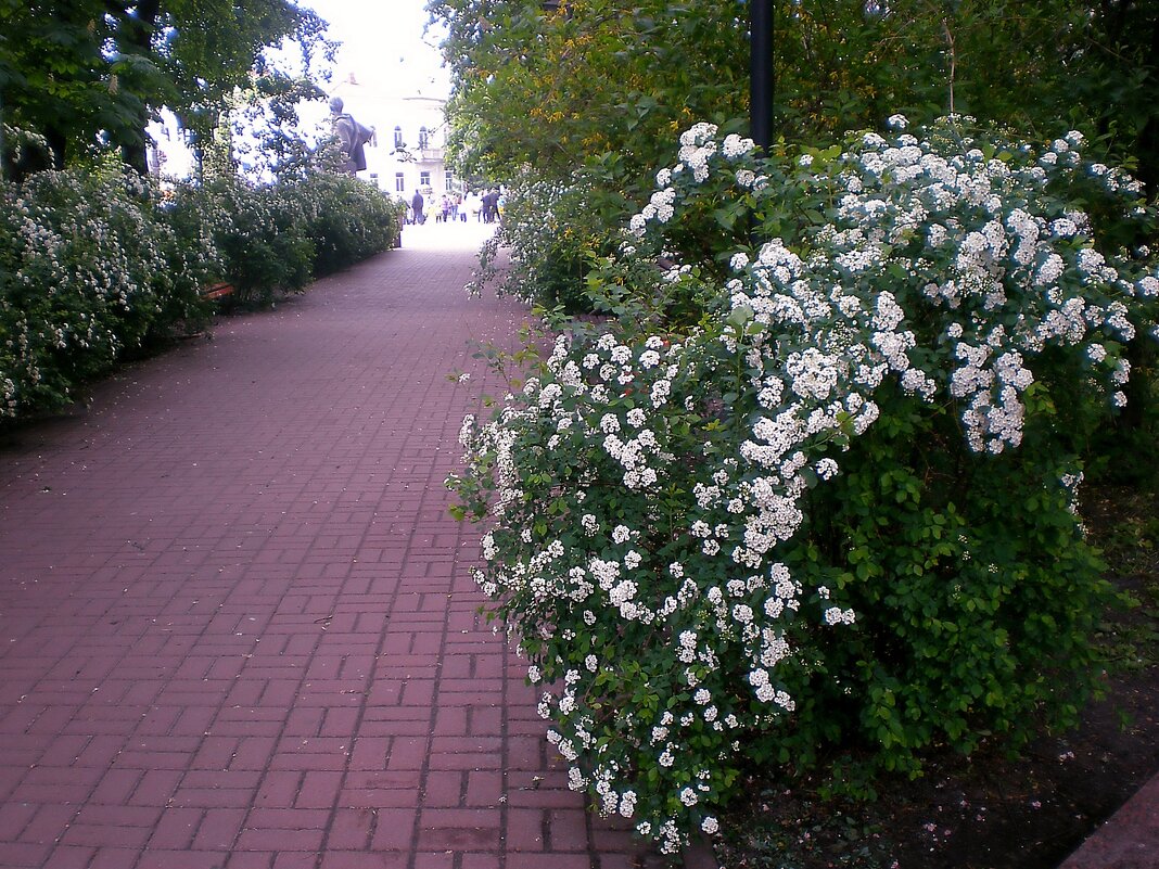 Весна в городе - Роман Савоцкий