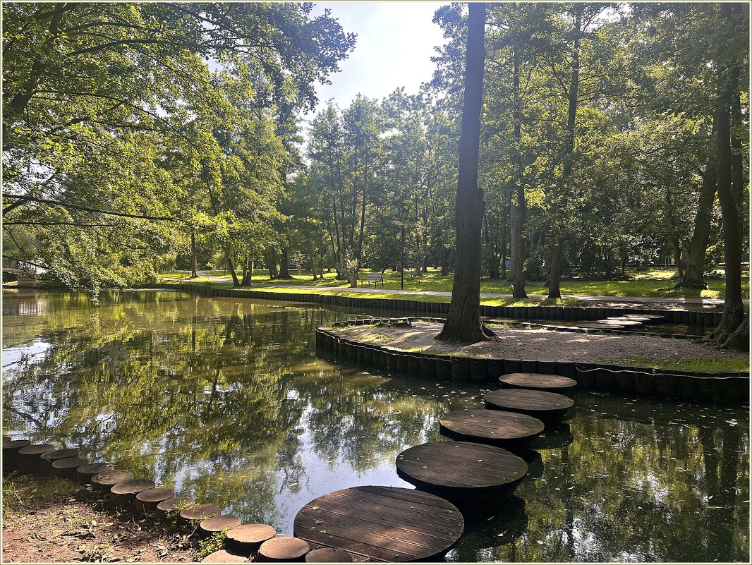 Место  отдыха птиц. - Валерия Комова