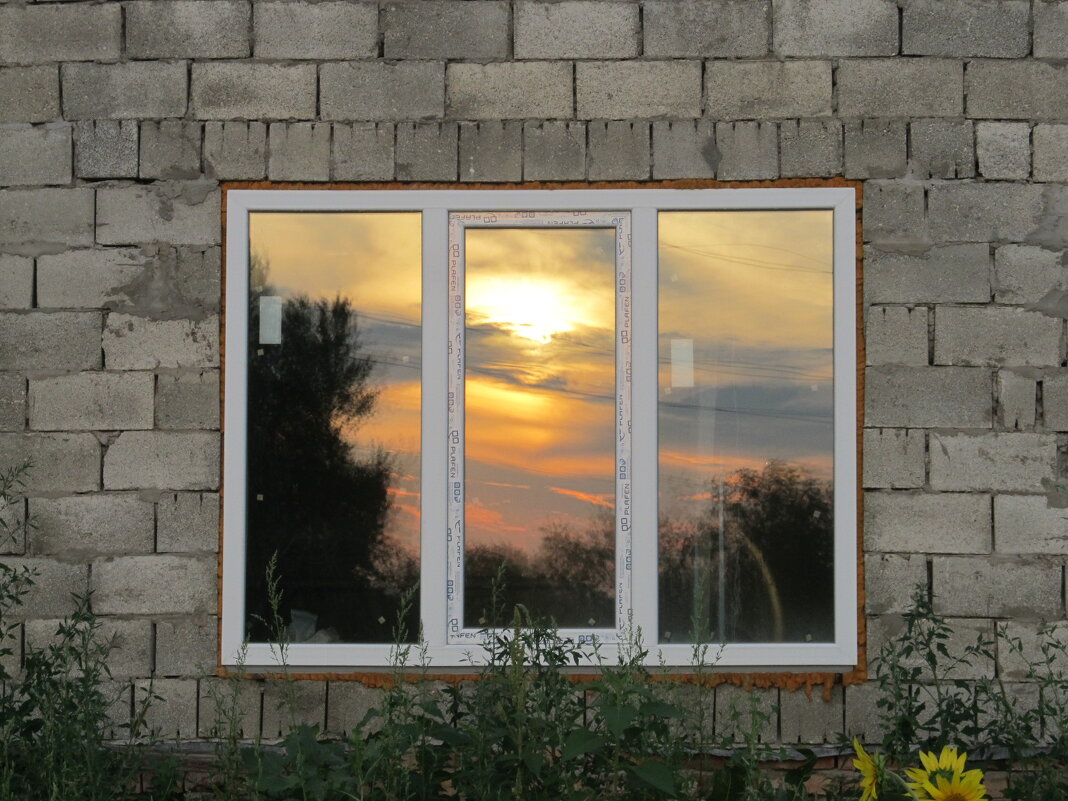 ....... - Елена Шаламова