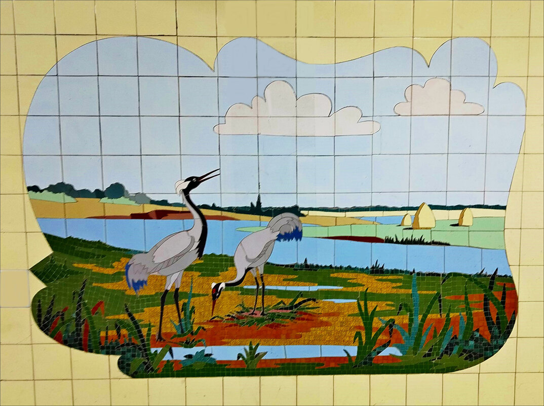 Живая природа! - Надежда Живая природа! - Надежда