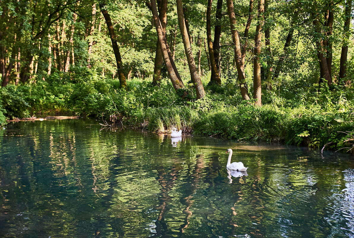красота - Александр Леонов