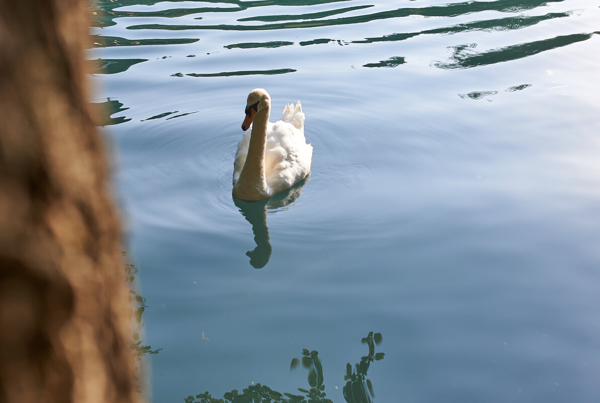 МИлашка - Александр Леонов