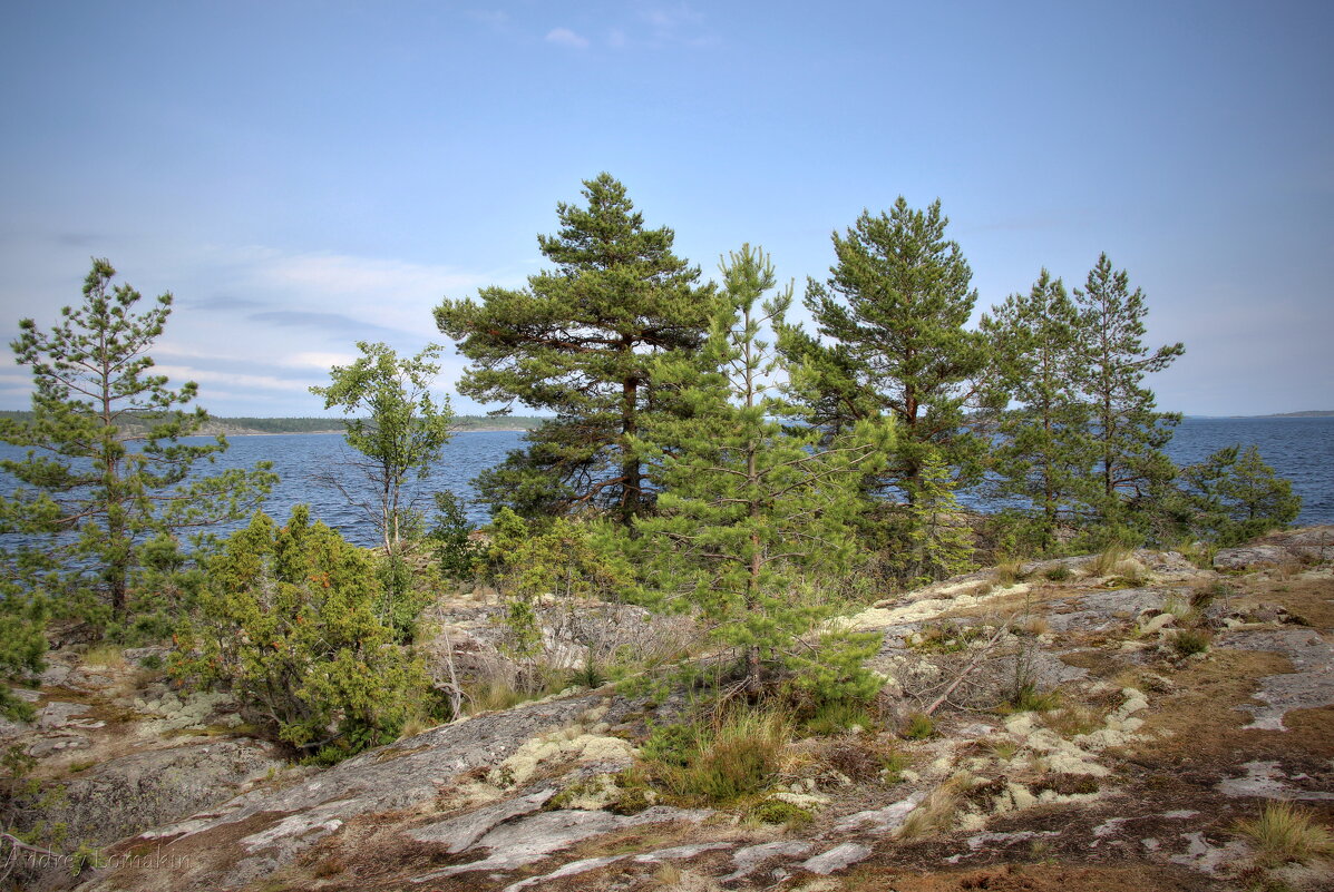 Ладожские шхеры - Andrey Lomakin