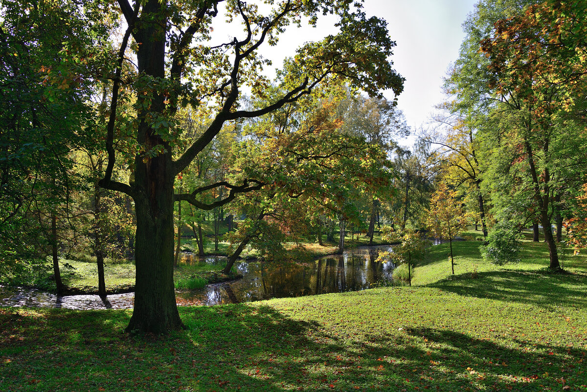 *** - Александр Хаецкий *** - Александр Хаецкий