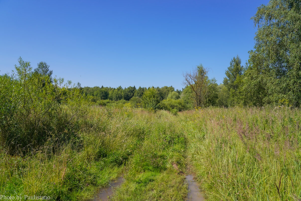 В летний полдень... - Владимир Жданов