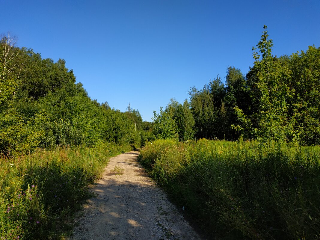 * * * - Андрей Лукьянов