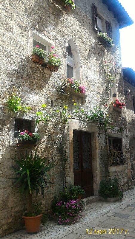 Цветник - Натали 