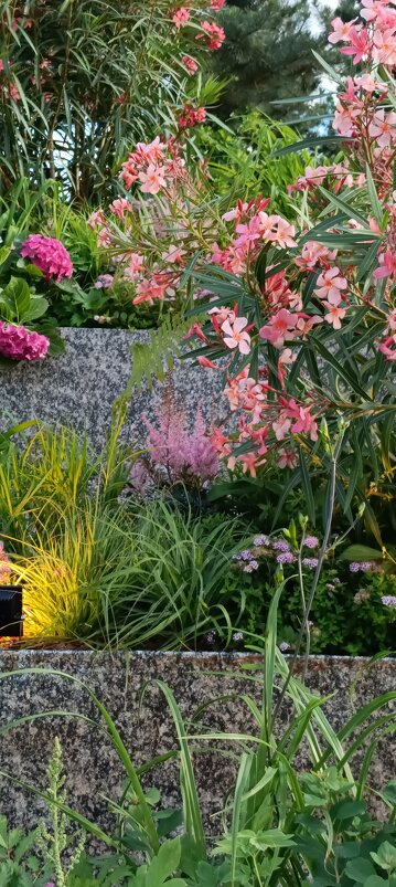 цветущий город - Галина R... цветущий город - Галина R...