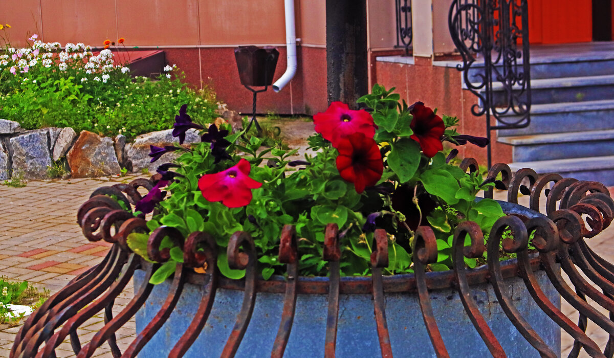 Июль...Цветочно-архитектурный этюд! - Владимир 