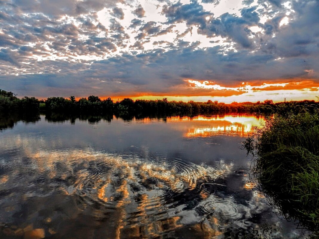 Яркое пробуждение! - Елена Хайдукова  ( Elena Fly )