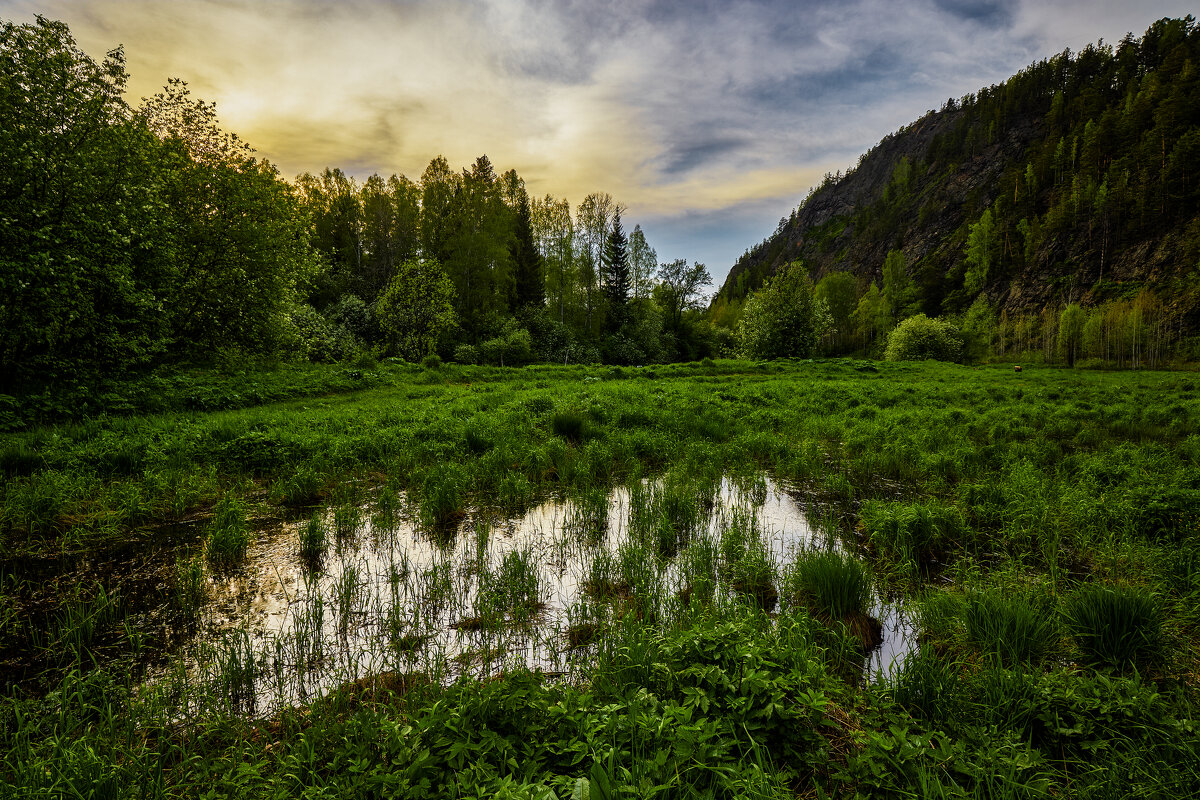 Между вечером и ночью. - Юрий кот Между вечером и ночью. - Юрий кот